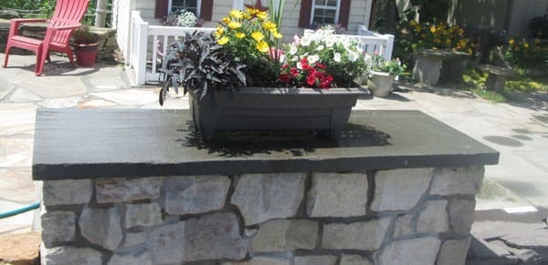 A planter sitting on a bluestone counter.
