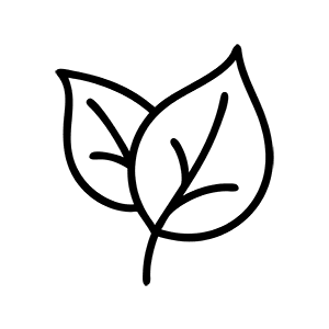 leaf icon with two leaves